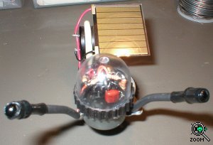Photo of Dangerbot (front view)